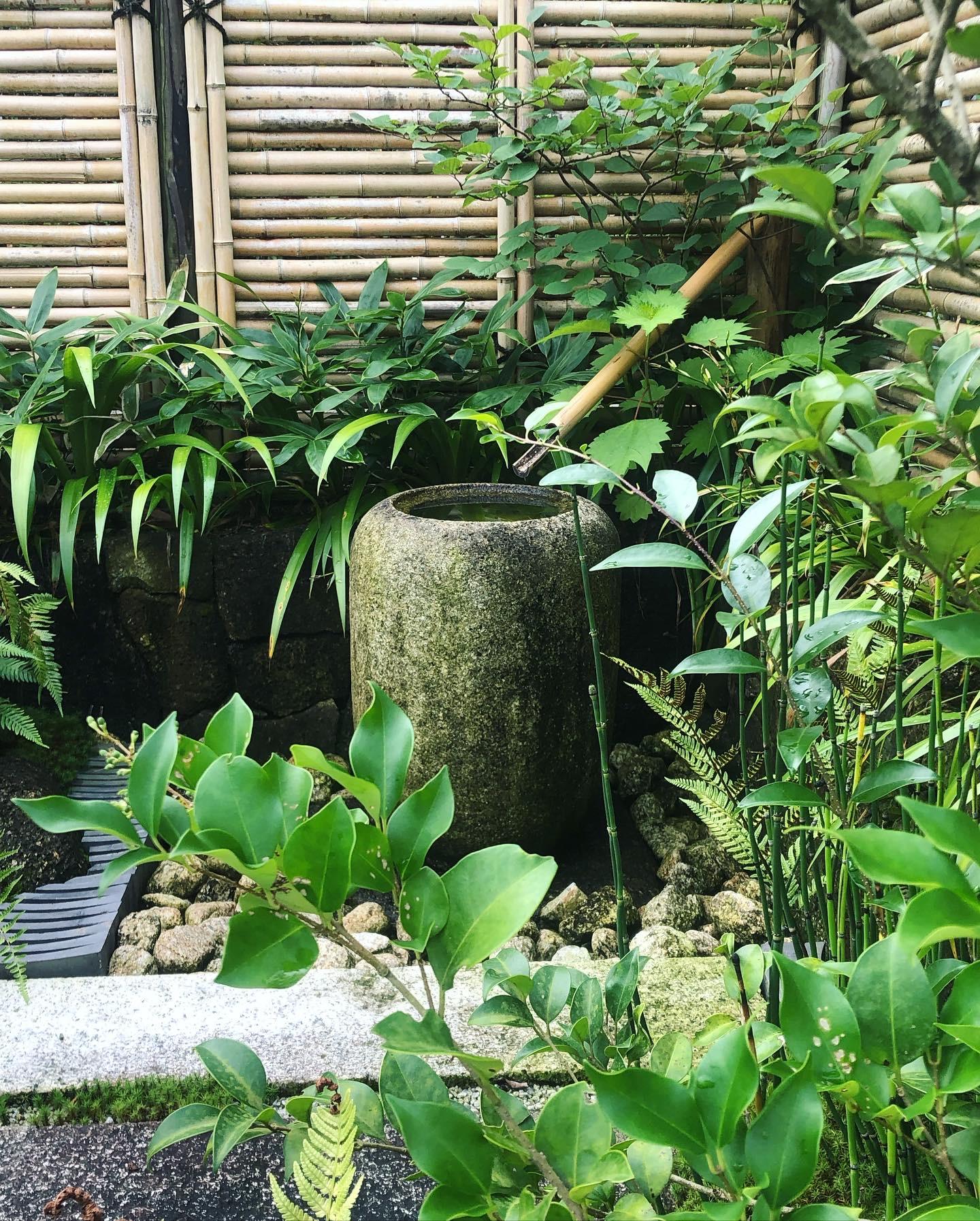 トップ画像